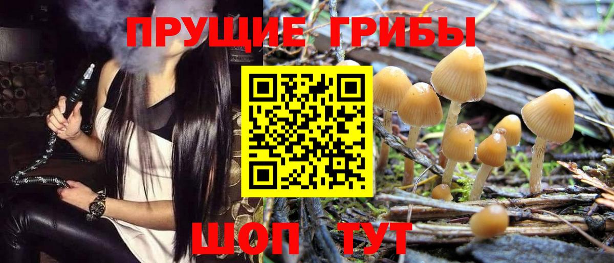 Гагарин  Галлюциногенные грибы ЛСД  Вход с VPN 